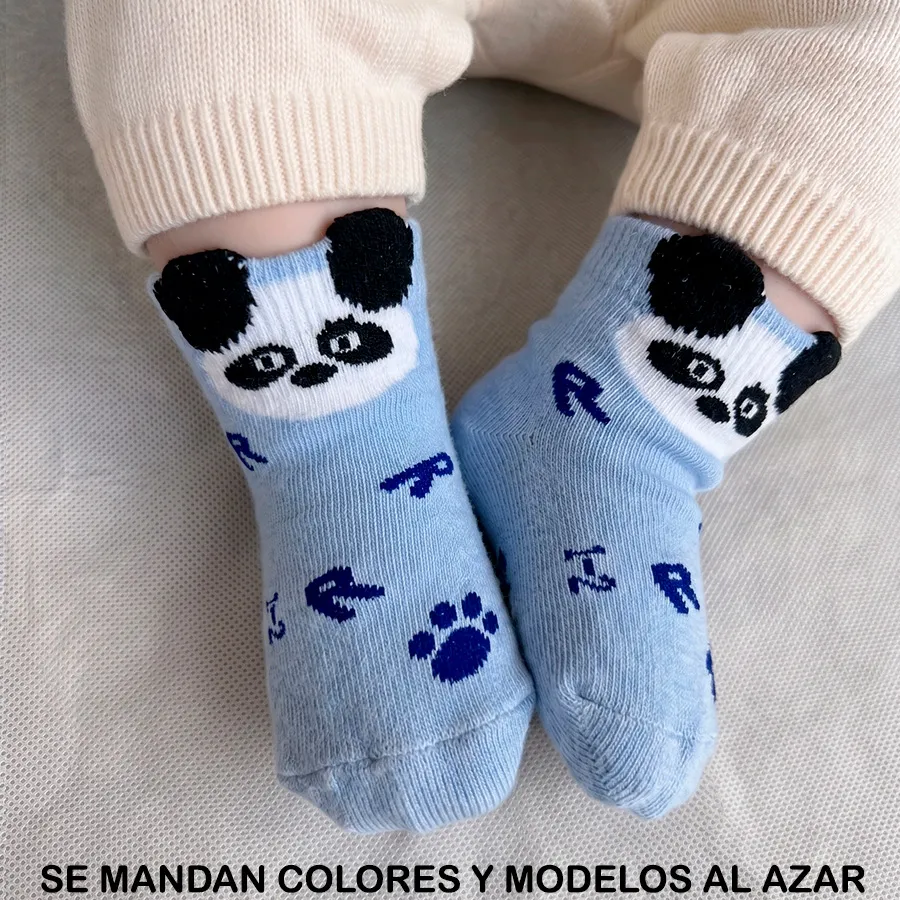 CA2002 EDICION 11900